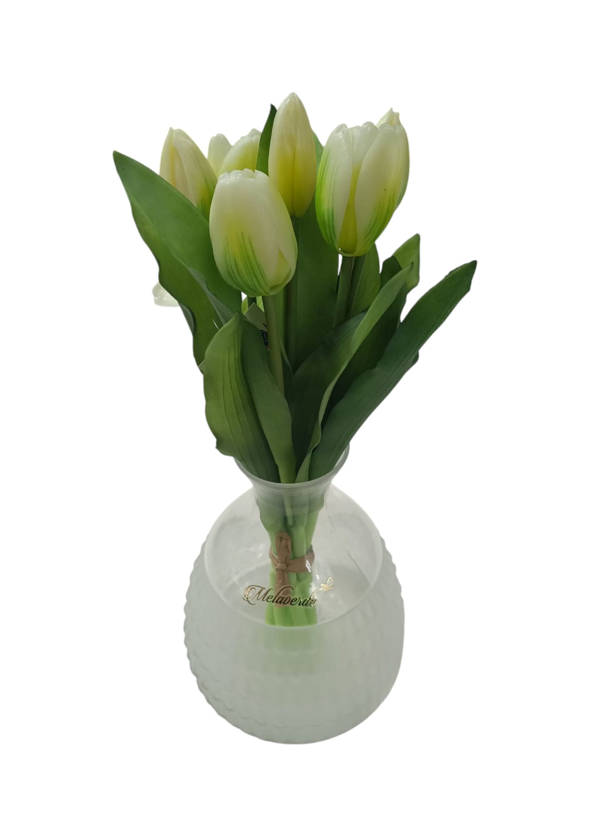 Tulipani Special Gifts EM64/V