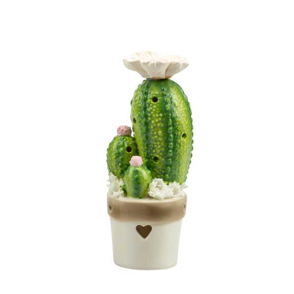 Piantine Harmony Cactus e Fichi d'India in Ceramica