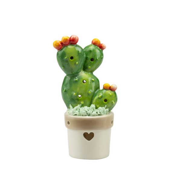 Piantine Harmony Cactus e Fichi d'India in Ceramica